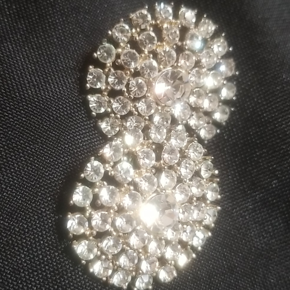 Circular Rhinestone earrings [2]